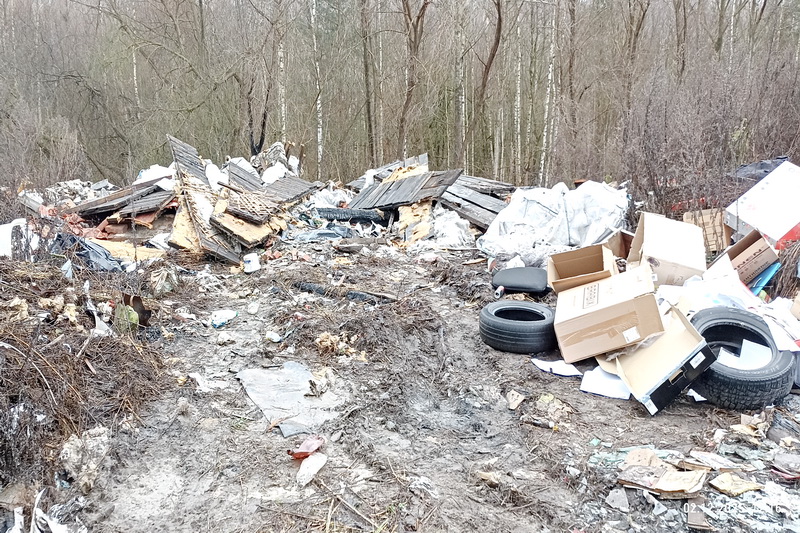 Слона-то я и не приметил…