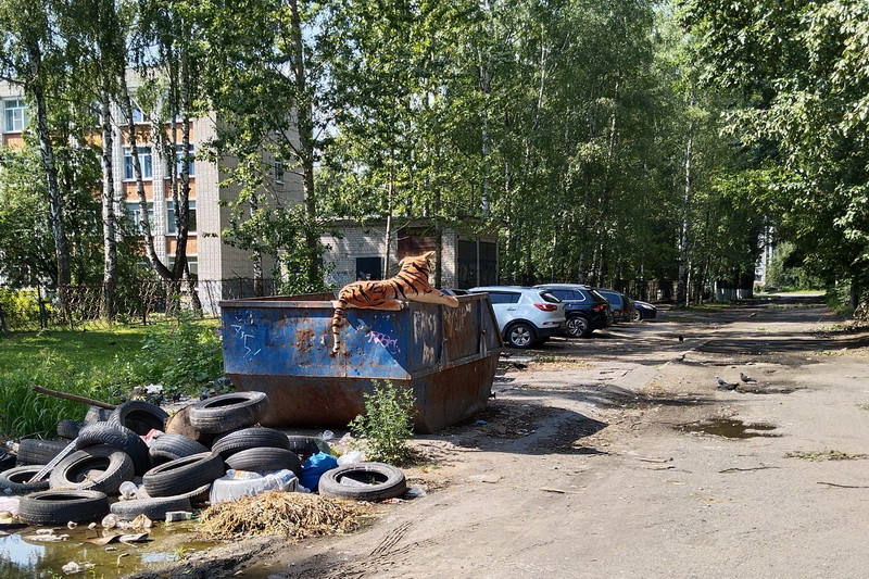 На контейнерной площадке в Брянске заметили тигра